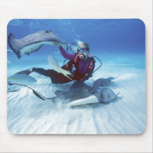 Stingray City, Grand Cayman, Kaaimaneilanden, Muismat