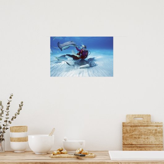 Stingray City, Grand Cayman, Kaaimaneilanden, Poster (Keuken)