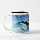 Stingray City, Grand Cayman, Kaaimaneilanden, Tweekleurige Koffiemok (Links)