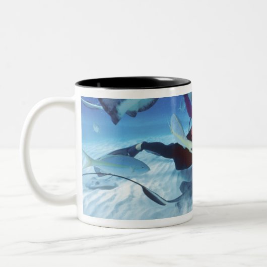 Stingray City, Grand Cayman, Kaaimaneilanden, Tweekleurige Koffiemok (Links)