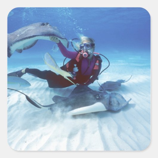 Stingray City, Grand Cayman, Kaaimaneilanden, Vierkante Sticker (Voorkant)