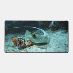 Stingray in beweging - Foto genomen bij Coral Tria Bureaumat