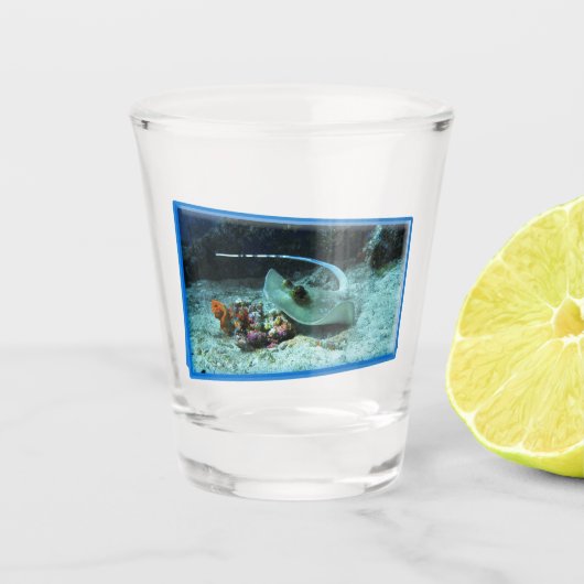 Stingray in beweging - Fotografisch ontwerp | Shot Glas (Voorkant)