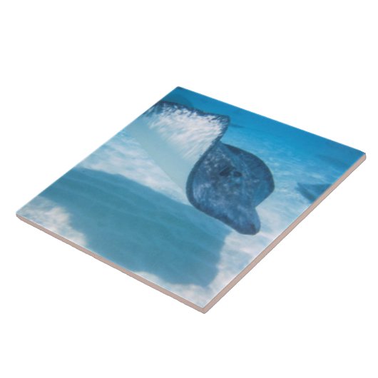 Stingray in het Caribisch gebied Tegeltje (Zijkant)