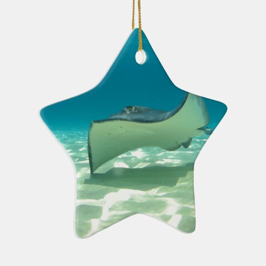 Stingray Keramisch Ornament (Rechts)