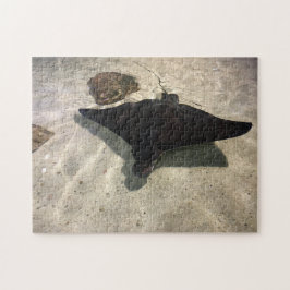 Stingray Legpuzzel
