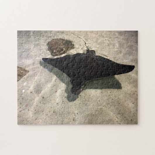 Stingray Legpuzzel (Horizontaal)