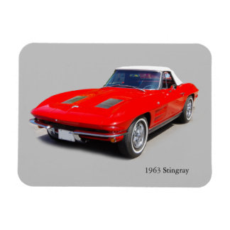 Stingray magnet 1963 magneet