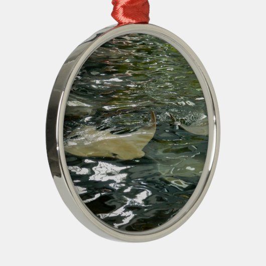 Stingray Metalen Ornament (Rechts)