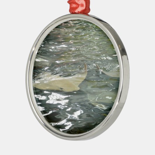 Stingray Metalen Ornament (Links)