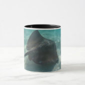 STINGRAY-MOK MOK (Midden)