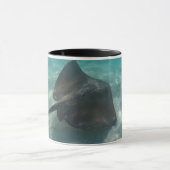 STINGRAY-MOK MOK (Midden)