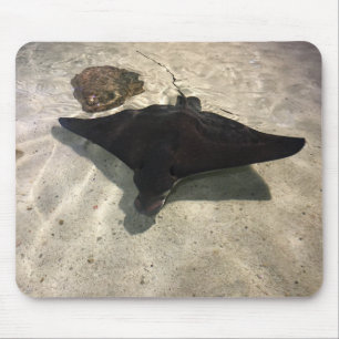 Stingray Muismat