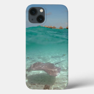 Stingray onderwater in de Bora Bora iPad-zaak iPhone 13 Hoesje