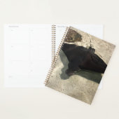 Stingray Planner (Display)