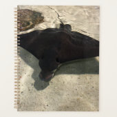 Stingray Planner (Voorkant)