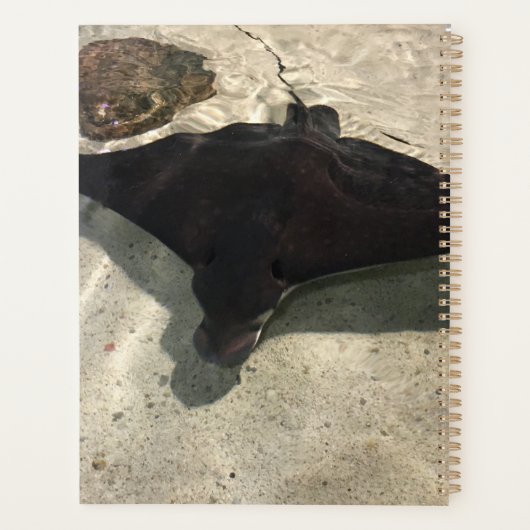 Stingray Planner (Achterkant)