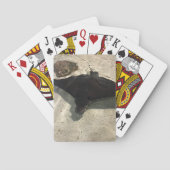 Stingray Pokerkaarten (Achterkant)