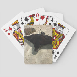Stingray Pokerkaarten