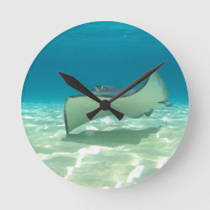 Stingray Ronde Klok