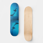 Stingray Skateboard (Voorkant)