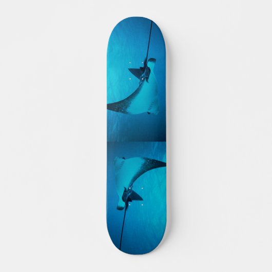 Stingray Skateboard (Voorkant)