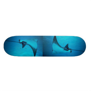 Stingray Skateboard