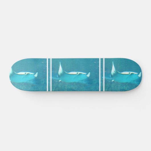Stingray Skateboard (Horizontaal)