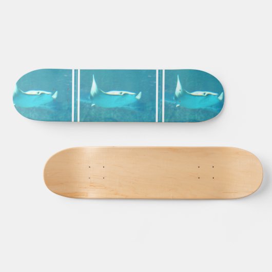 Stingray Skateboard (Horizontaal)