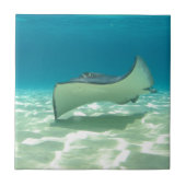 Stingray Tegeltje (Voorkant)