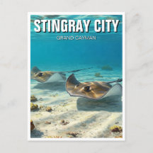 Stingrays in Grand Cayman Reizen
