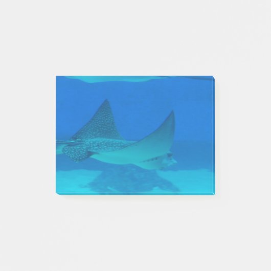Stingrays Post-it® Notes (Voorkant)