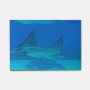Stingrays Post-it® Notes