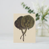 Stingrays, zeedieren Briefkaart (Staand voorkant)