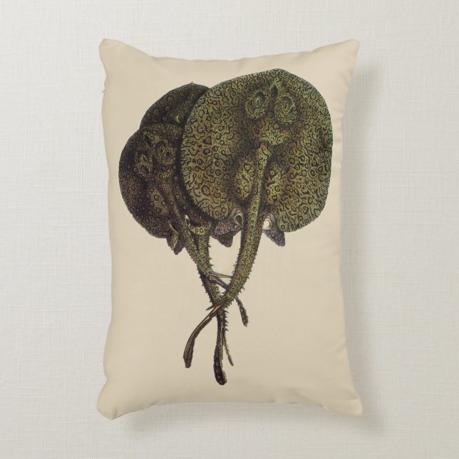  Stingrays, zeedieren Decoratief Kussen (Voorkant(Verticaal))