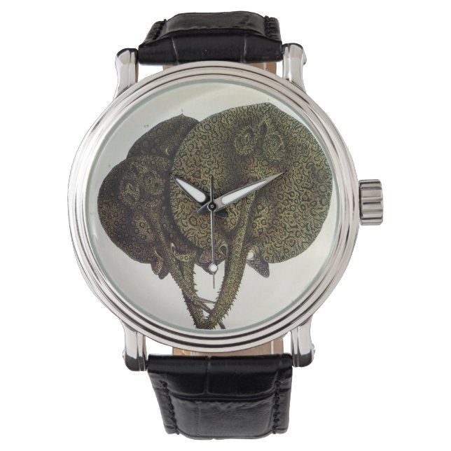  Stingrays, zeedieren Horloge (Voorkant)