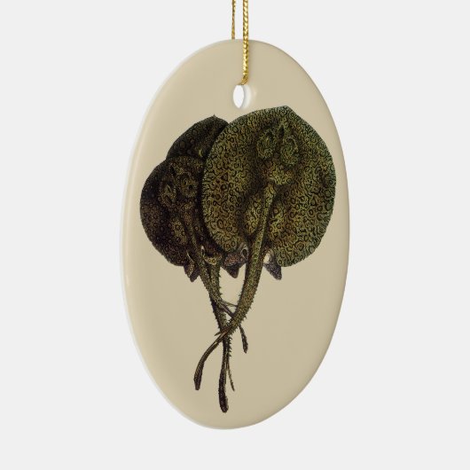 Stingrays, zeedieren Keramisch Ornament (Rechts)