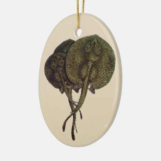  Stingrays, zeedieren Keramisch Ornament (Links)