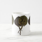  Stingrays, zeedieren Koffiemok (Center)