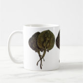  Stingrays, zeedieren Koffiemok (Links)