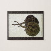 Stingrays, zeedieren Legpuzzel (Horizontaal)