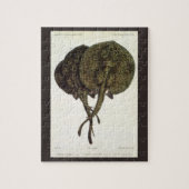  Stingrays, zeedieren Legpuzzel (Verticaal)