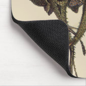 Stingrays, zeedieren Muismat (Hoek)