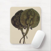 Stingrays, zeedieren Muismat (Met muis)