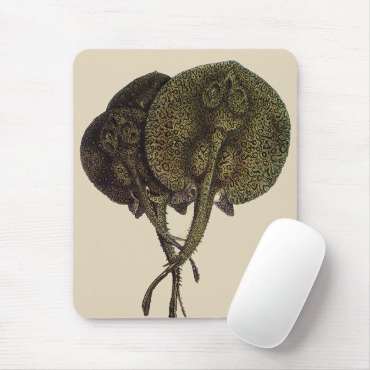  Stingrays, zeedieren Muismat (Met muis)