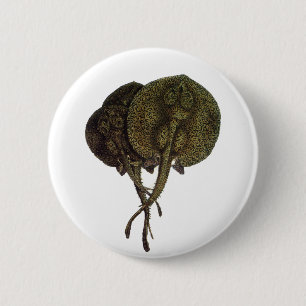 Stingrays, zeedieren Ronde Button 5,7 Cm