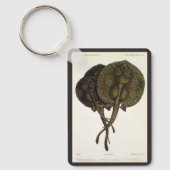 Stingrays, zeedieren Sleutelhanger (Voorkant)