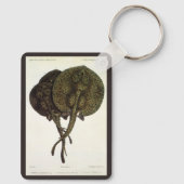 Stingrays, zeedieren Sleutelhanger (Achterkant)