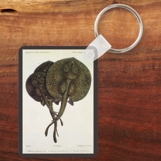  Stingrays, zeedieren Sleutelhanger (Achterkant)