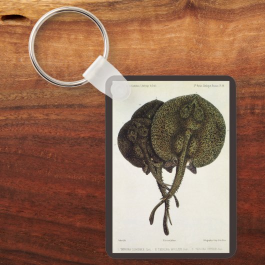  Stingrays, zeedieren Sleutelhanger (Voorkant)